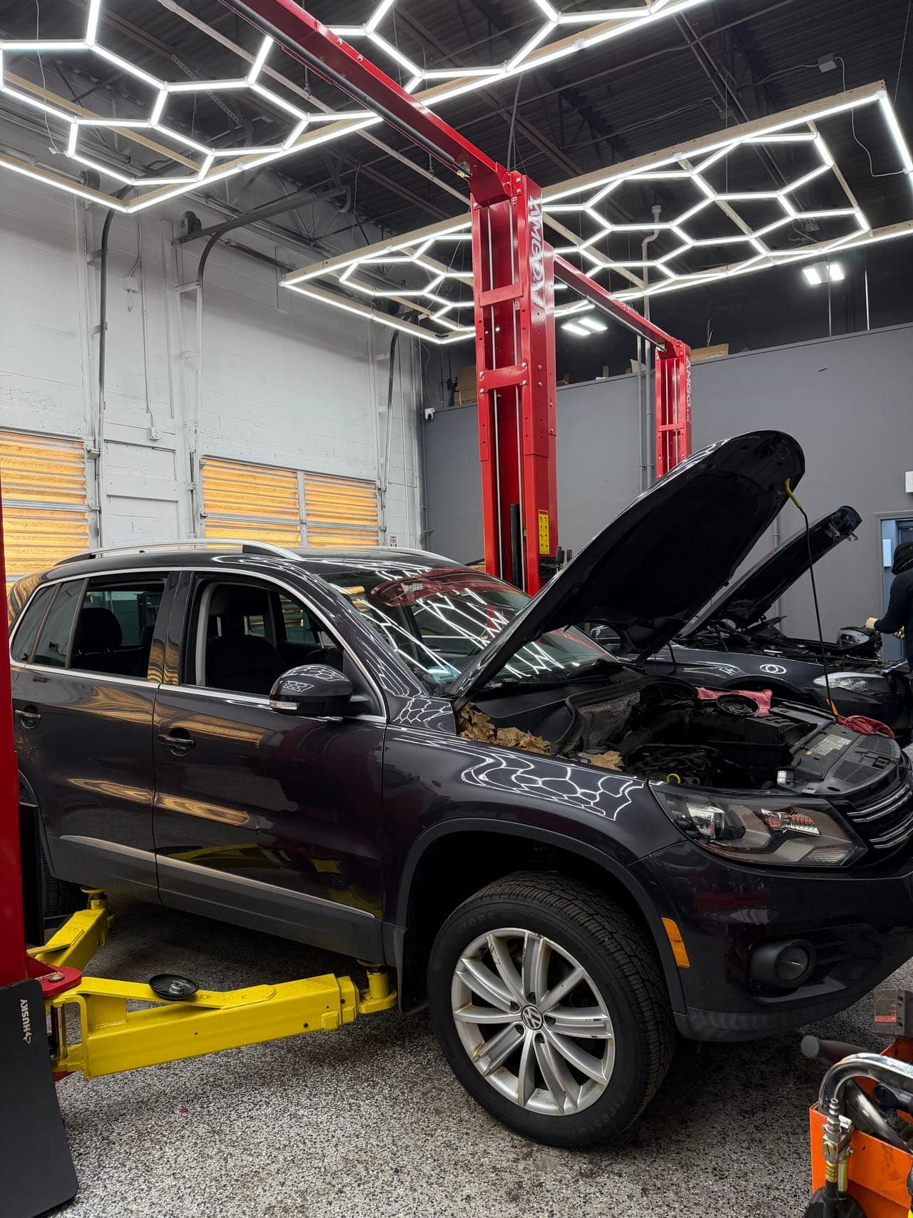 European auto service at Pro Tech Auto.